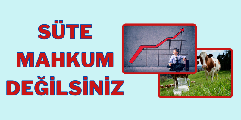 İnek Sütü İçmek